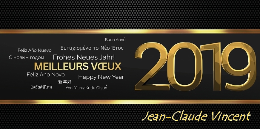 bonne%20ann%C3%A9e%202019%20-%20JcV.jpg