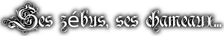 175656013.png