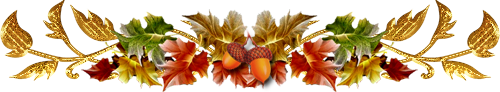 2146707527.png