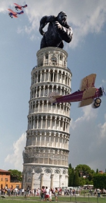 995239481.jpg