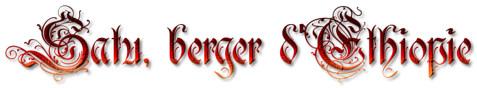 1926639039.png