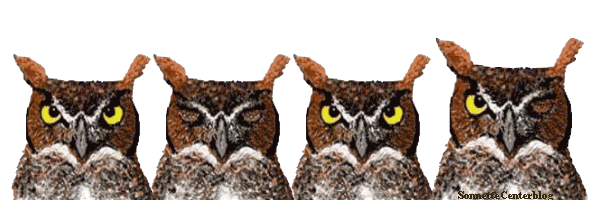 4157987724.gif
